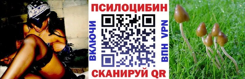 ОМГ ОМГ сайт  купить  цена  Чухлома  Псилоцибиновые грибы прущие грибы 